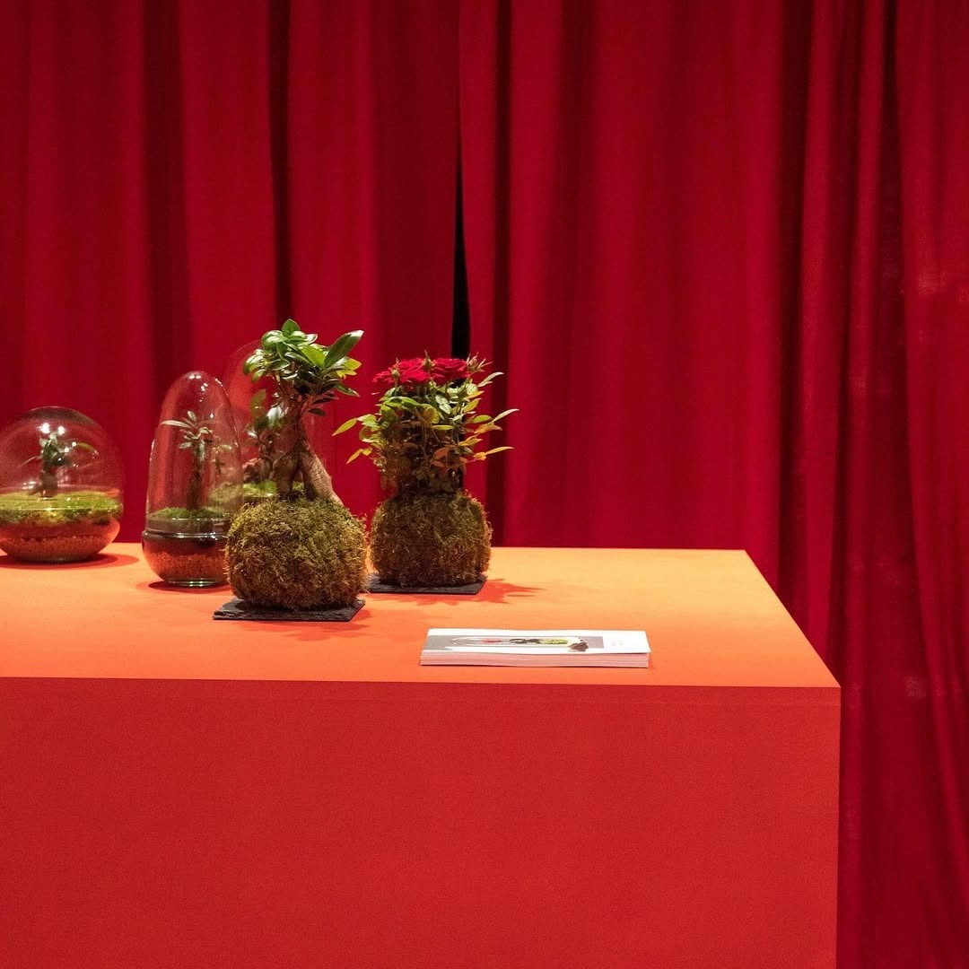 Omotesando Pop-up Store